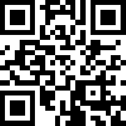 Manual Payment